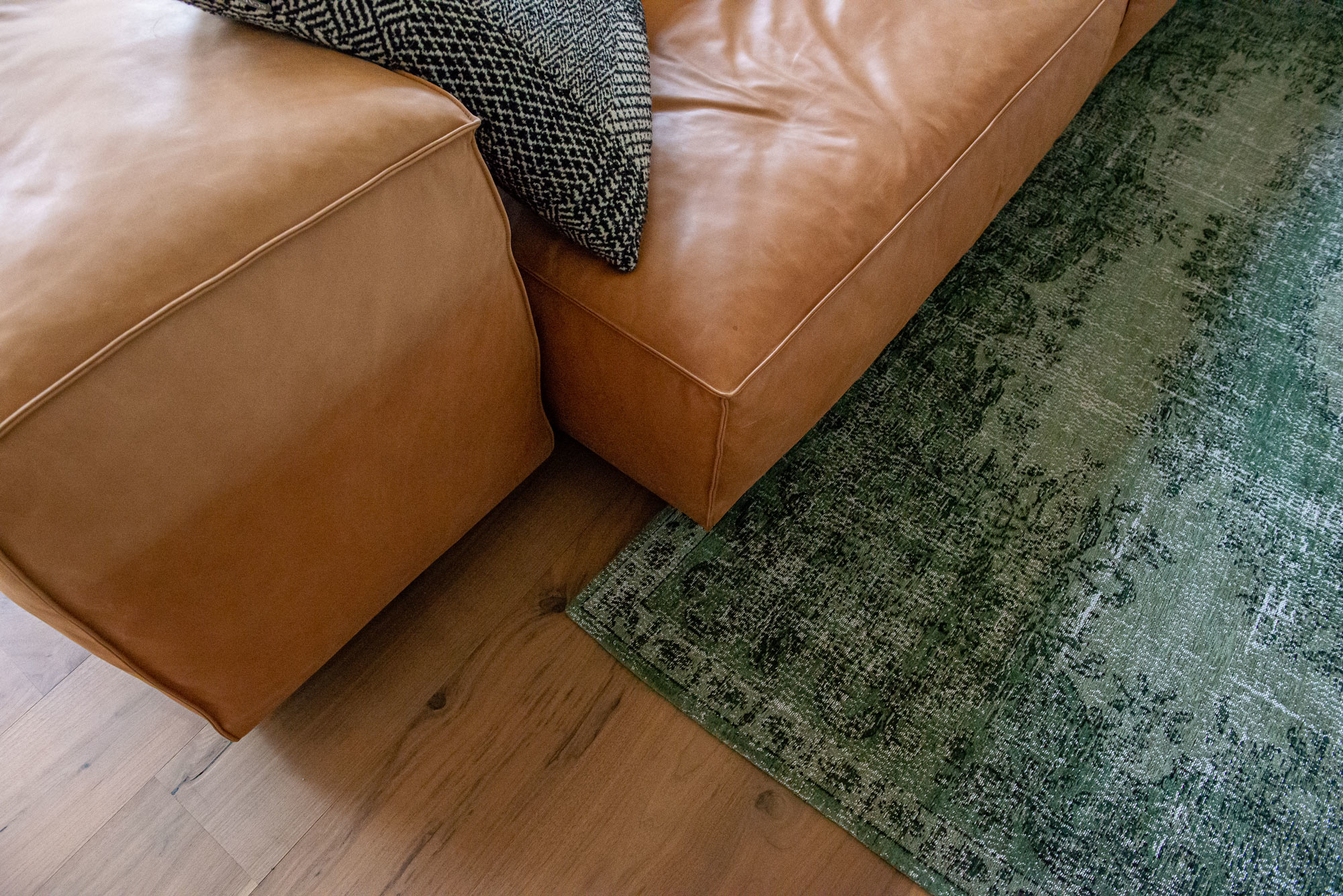Dywan Este Green | Rozmiar: 280 x 360 cm