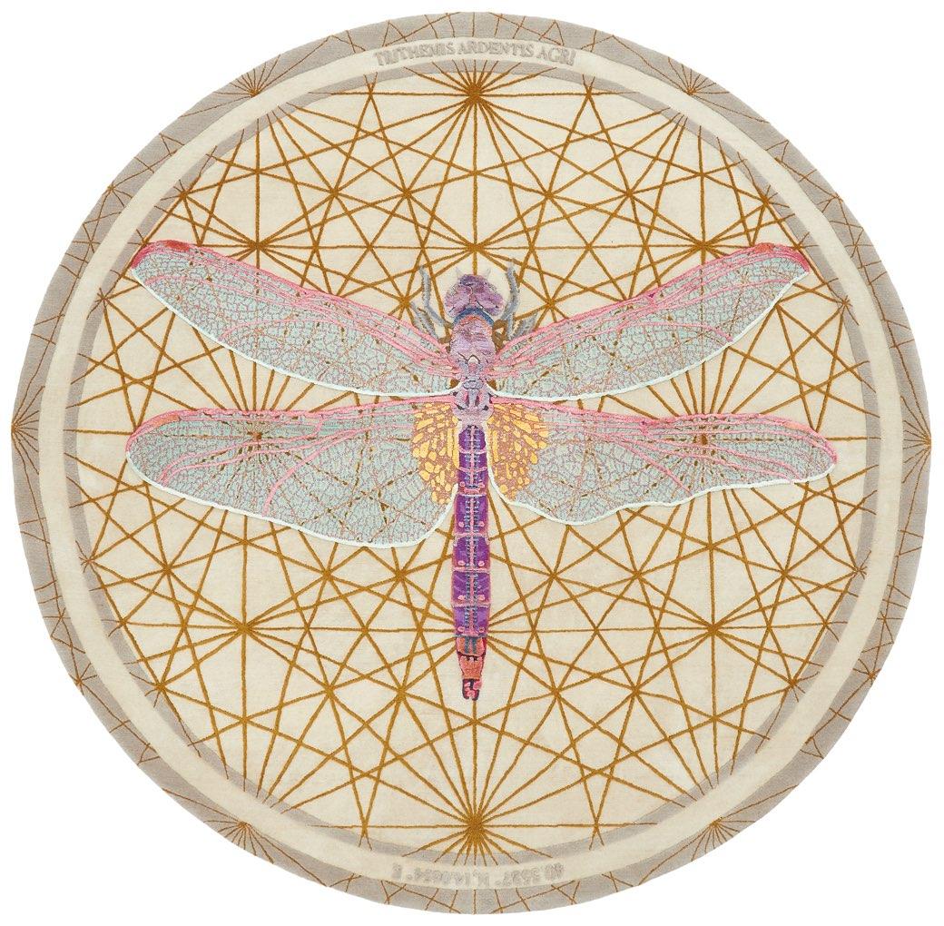 Dywan Trithemis Ardentis Agri