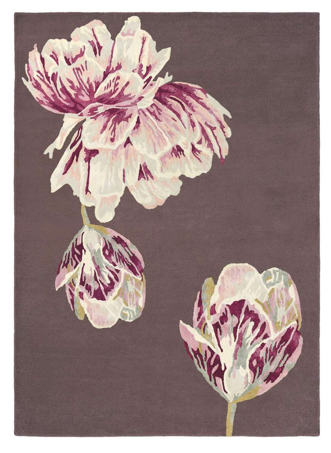 Dywan Tranquility Aubergine 56005 | Rozmiar: 200 x 280 cm
