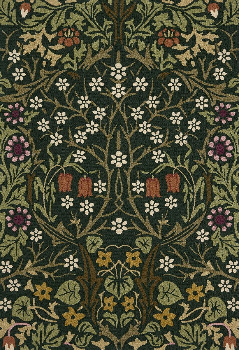 Dywan Zewnętrzny Blackthorn Tump 428507 | Rozmiar: 250 x 350 cm