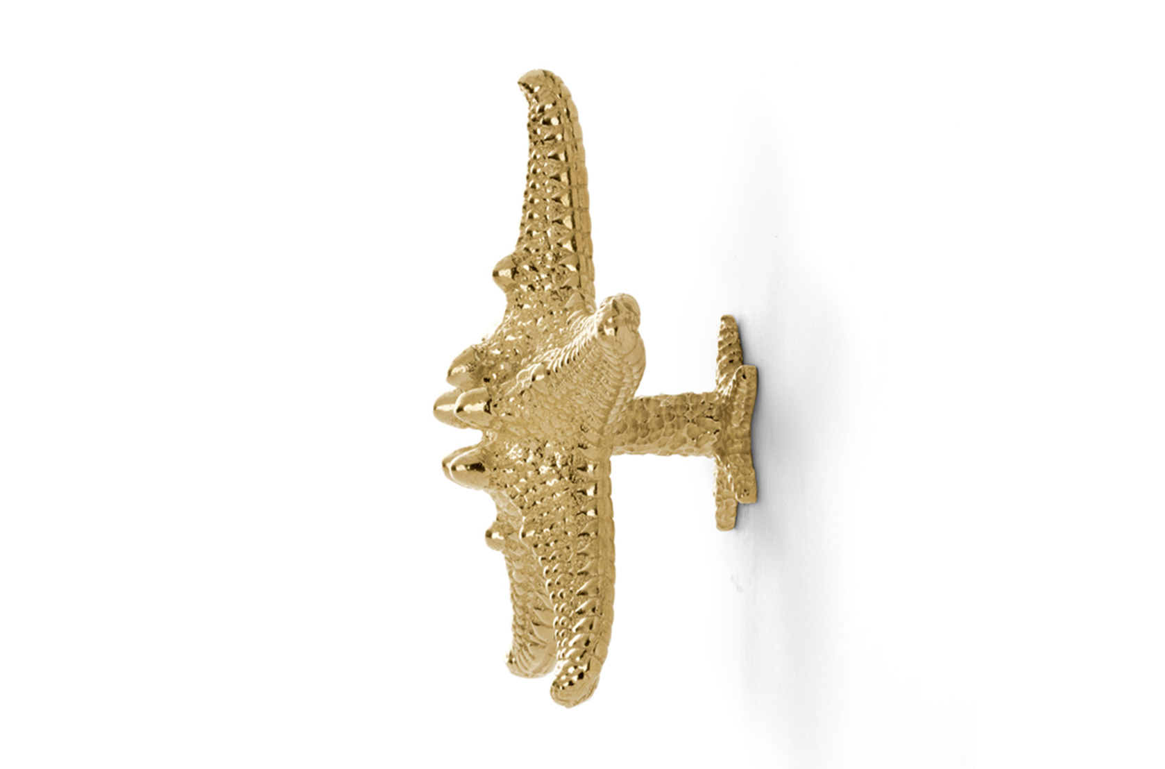 Uchwyt Dekoracyjny Starfish Linckia