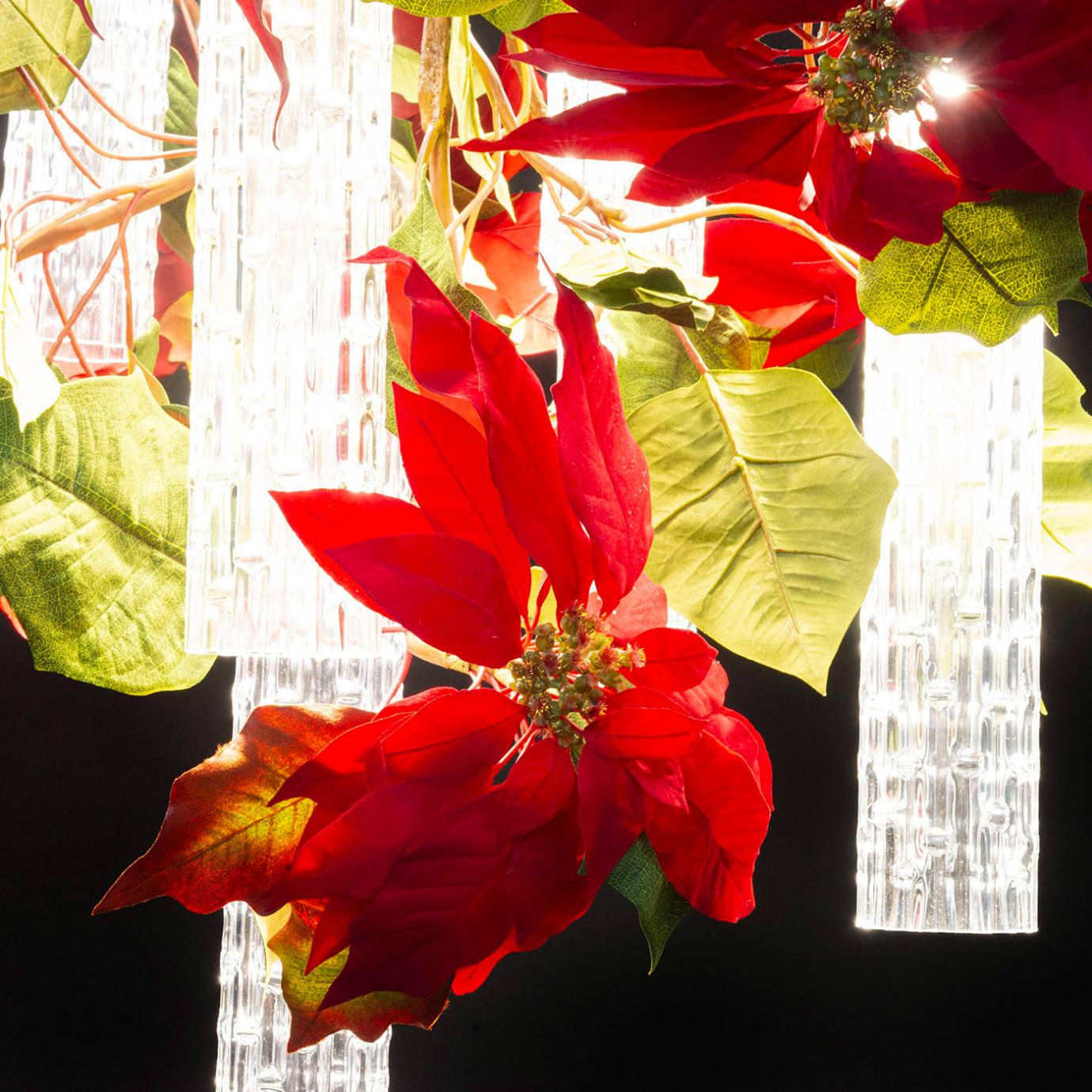 Żyrandol Poinsettia