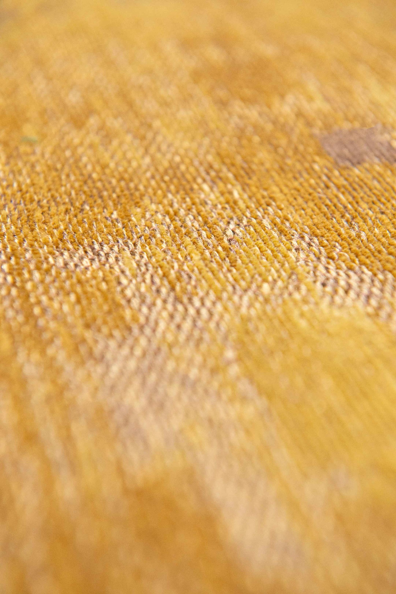 Dywan Venetian Dust - Rialto Gold 9235 | Rozmiar: 80 x 150 cm