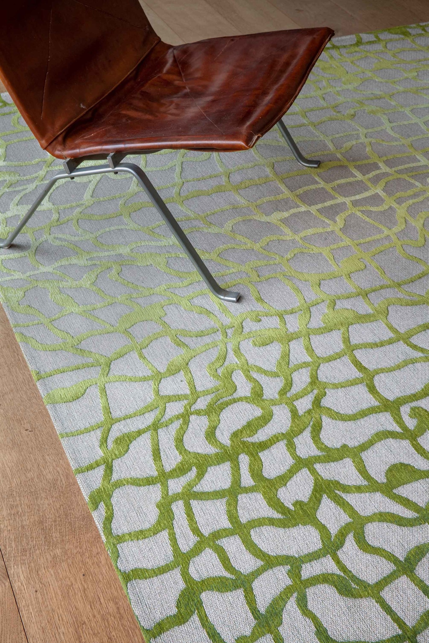 Dywan Republic Green 9204 | Rozmiar: 170 x 240 cm