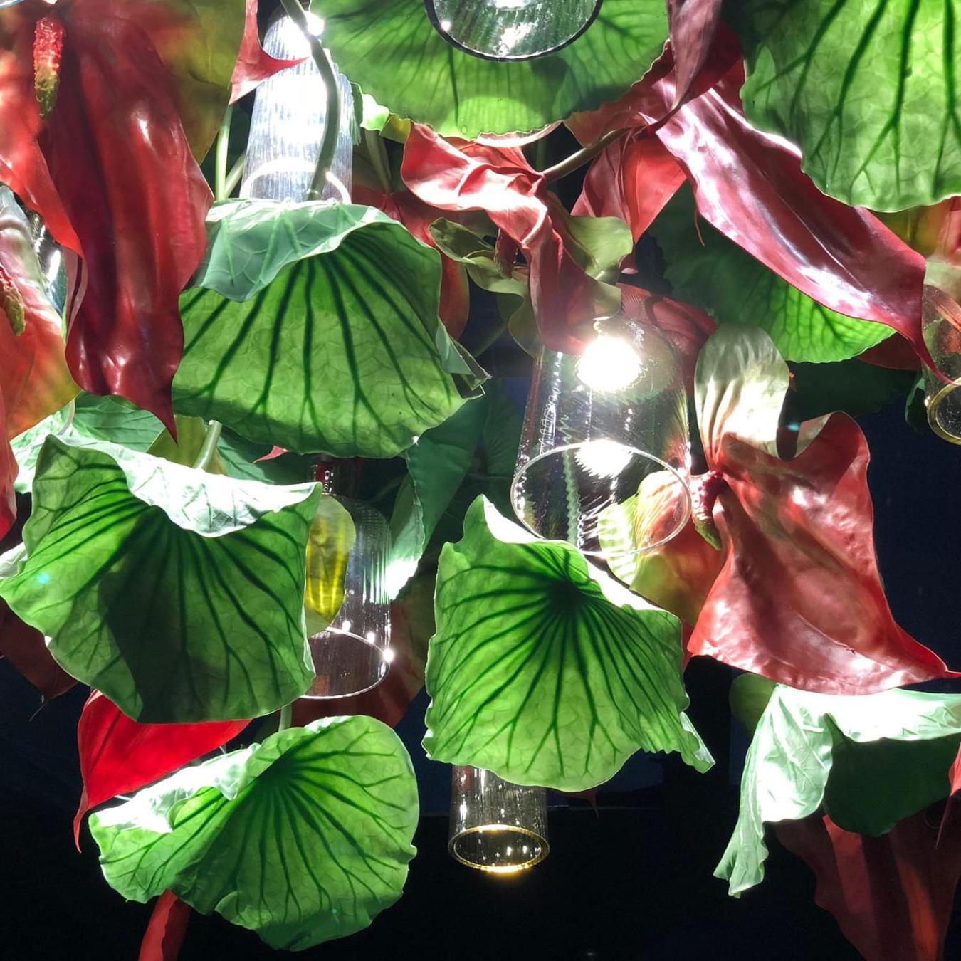 Czerwony żyrandol Anthurium
