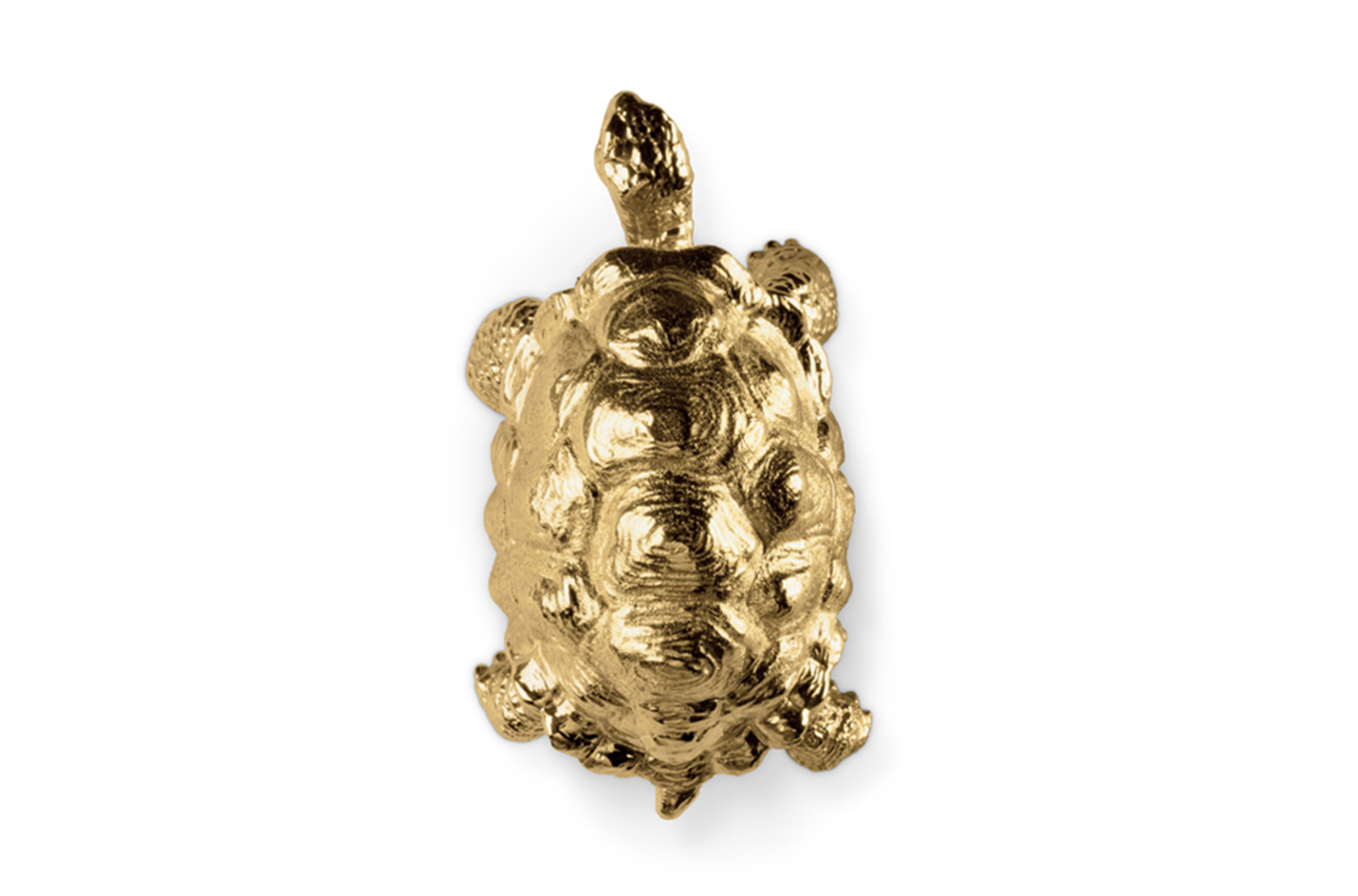 Uchwyt Dekoracyjny Turtle