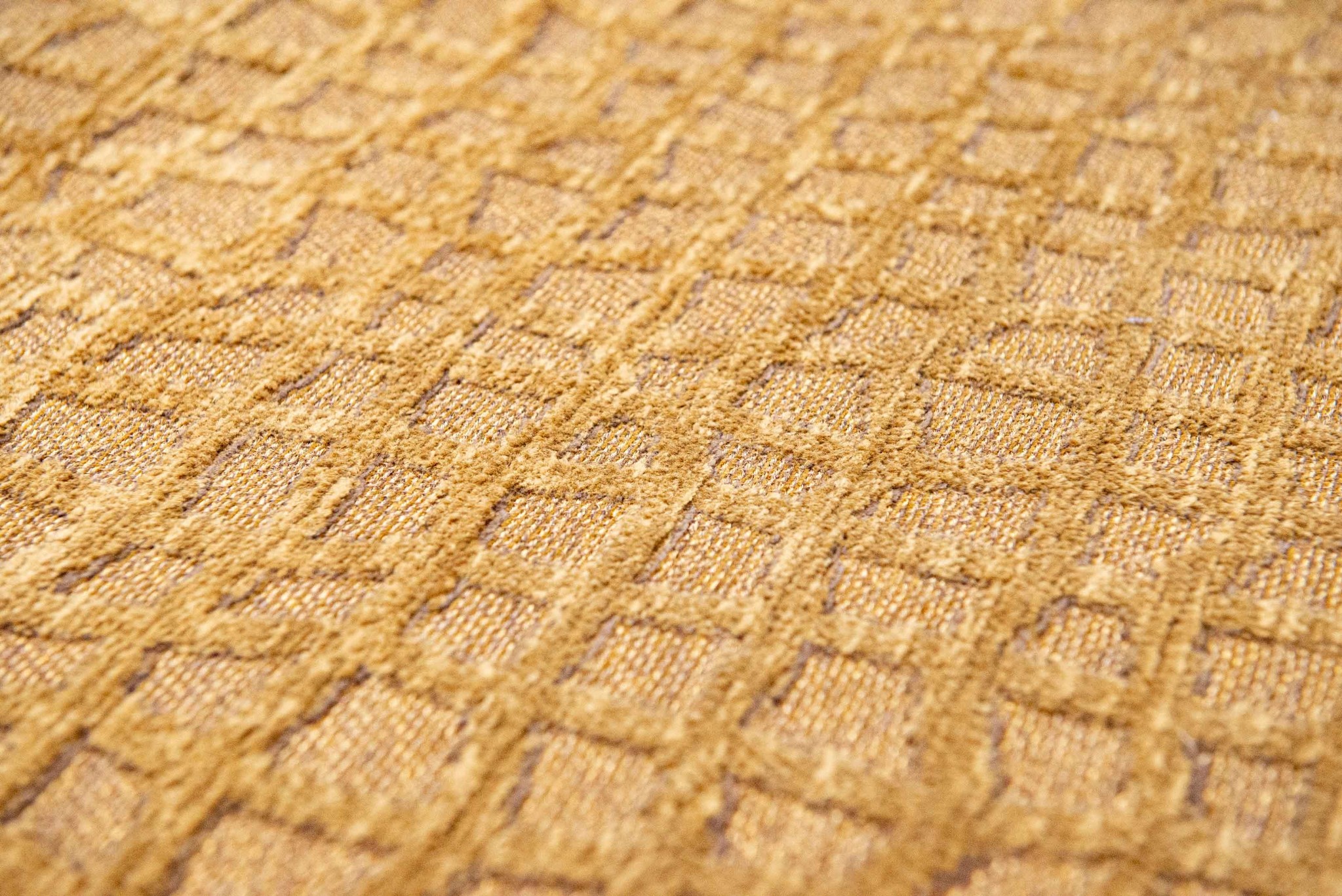 Dywan Trammel - Roman Gold 9248 | Rozmiar: 170 x 240 cm