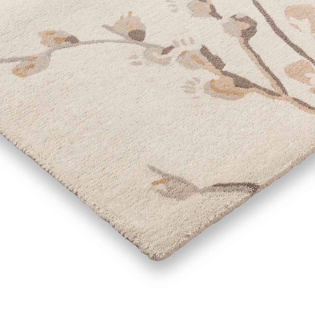 Dywan Pussy Willow Dove Grey | Rozmiar: 250 x 350 cm