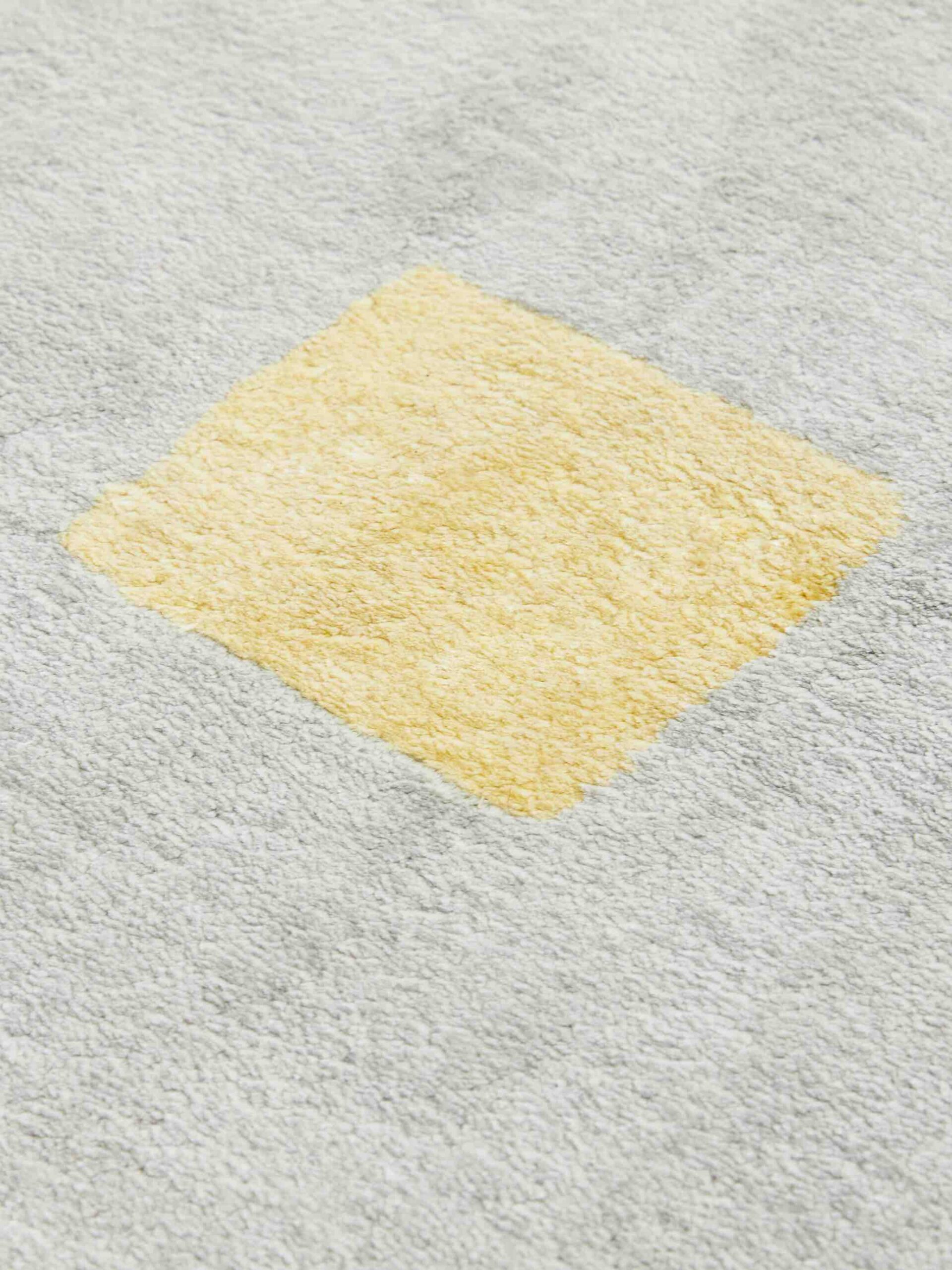 Dywan Concetti Multicolor