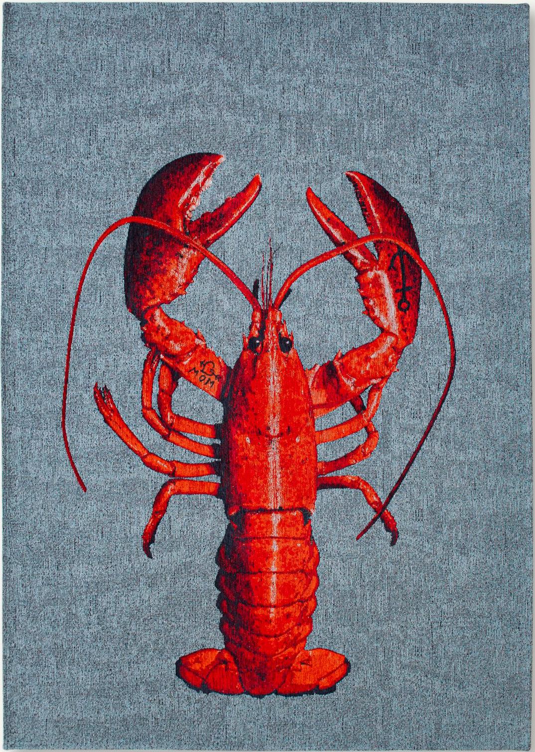 Dywan Steam Red 9389 | Rozmiar: 240 x 340 cm