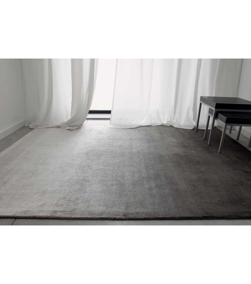 Dywan Noho | Kolor: Gray | Rozmiar: 300 x 400 cm
