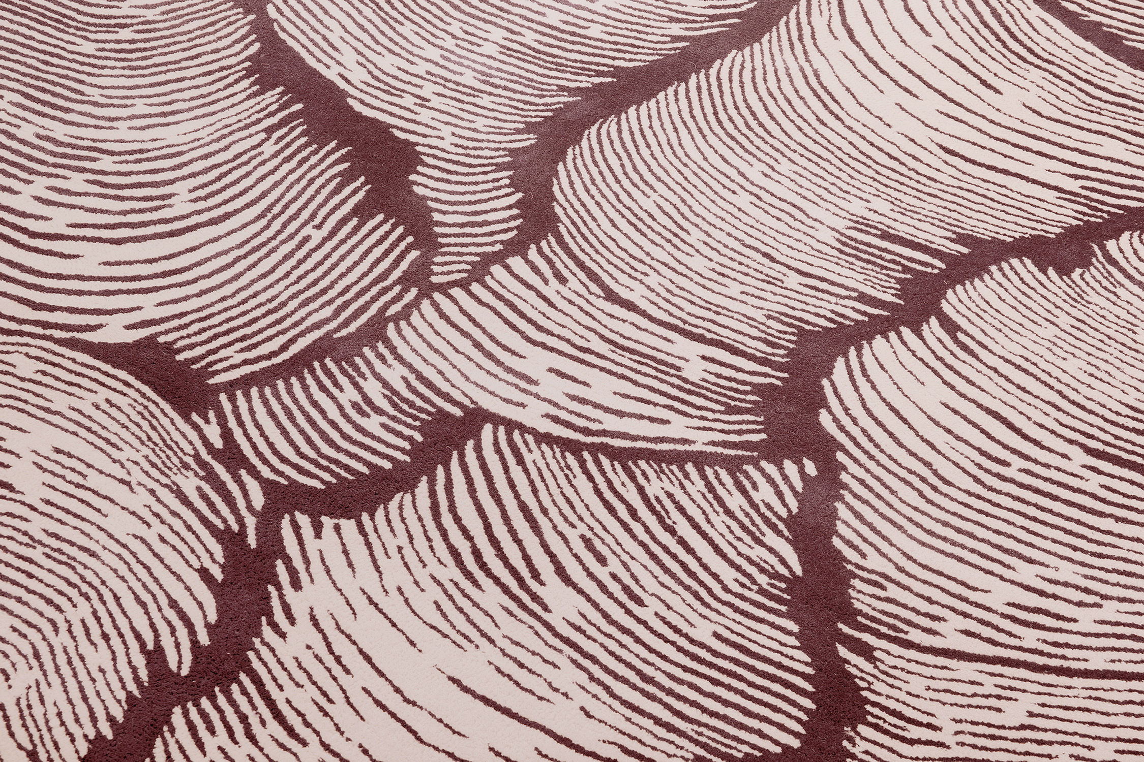Dywan Designer Cinnamon | Rozmiar: 275 x 360 cm