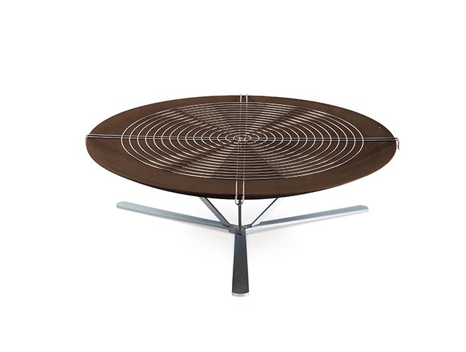 Discolo palenisko ogrodowe