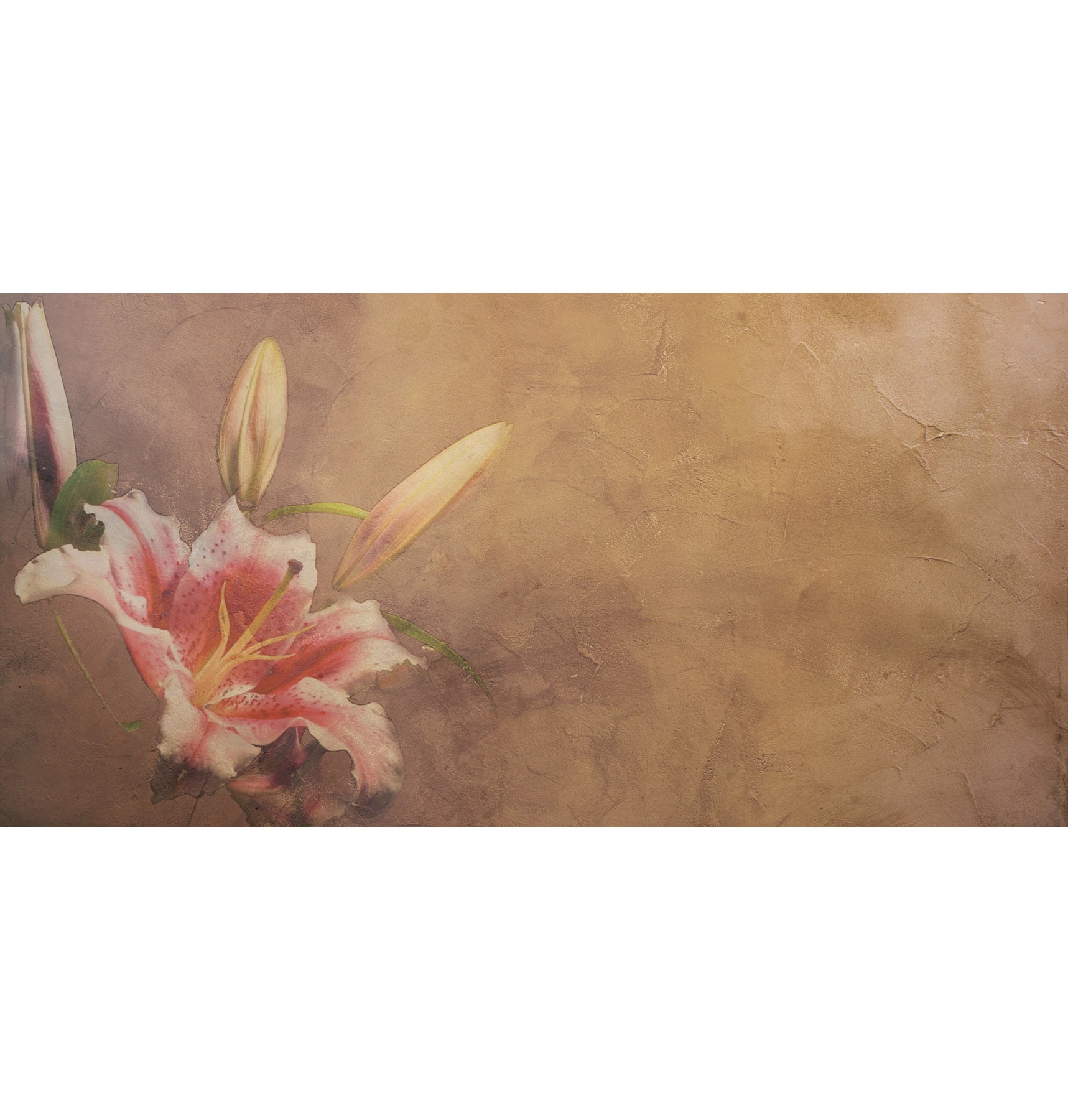 Tapeta Amaryllis