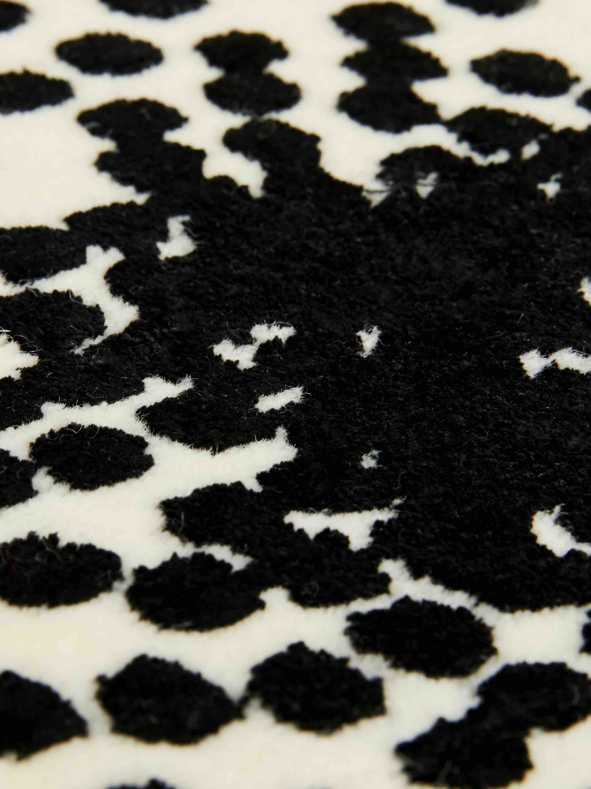 Dywan Particles