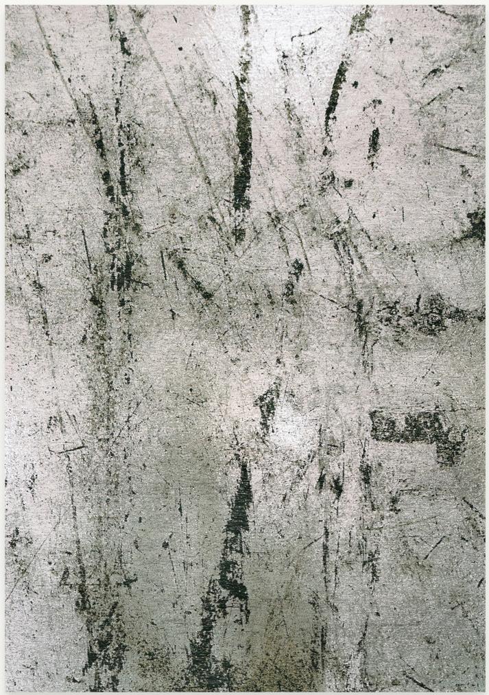 Dywan Alpine 9787 | Rozmiar: 280 x 390 cm