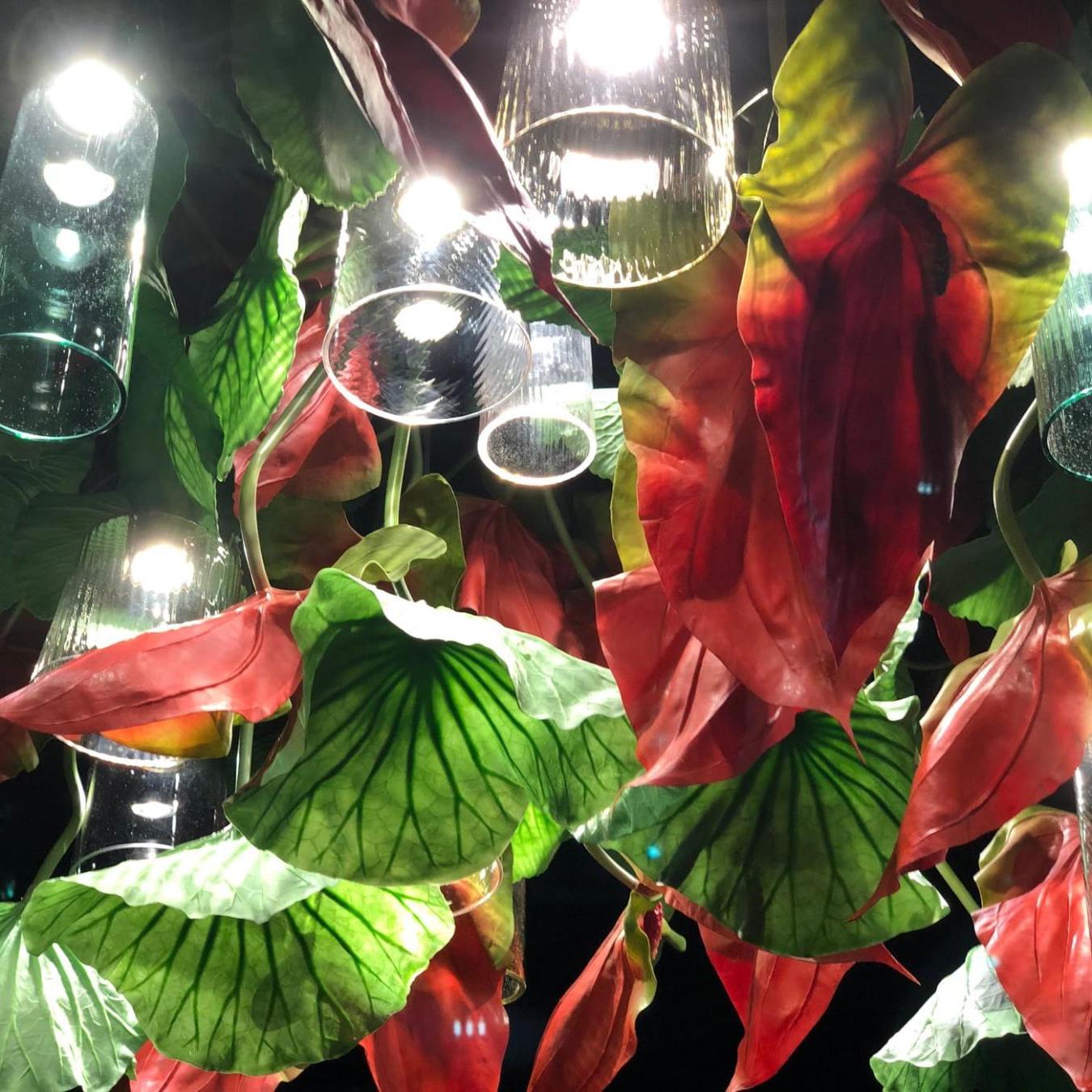 Czerwony żyrandol Anthurium