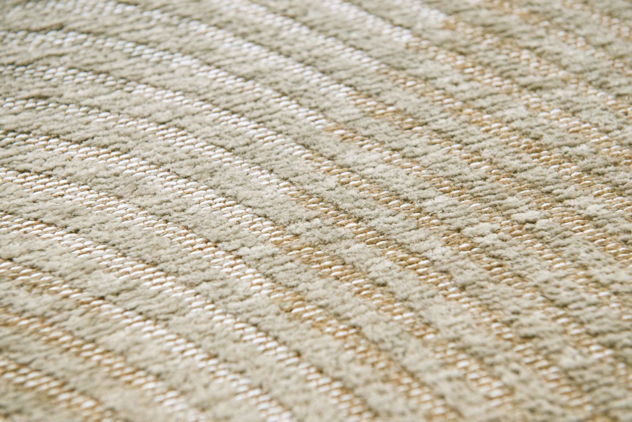 Dywan Shell Beige 9229 | Rozmiar: 170 x 240 cm