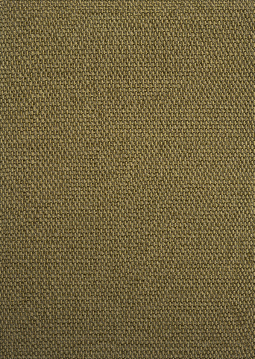 Dywan Zewnętrzny Lace Thyme-Pine 497207 | Rozmiar: 250 x 350 cm