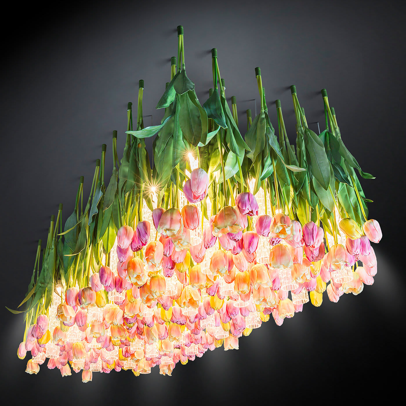 Żyrandol Tulip