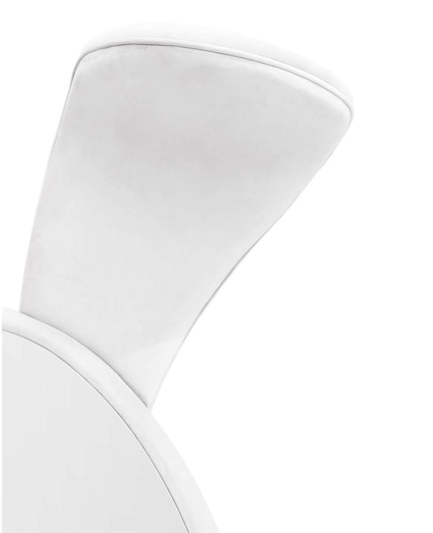 Lustro Bunny Wonderland