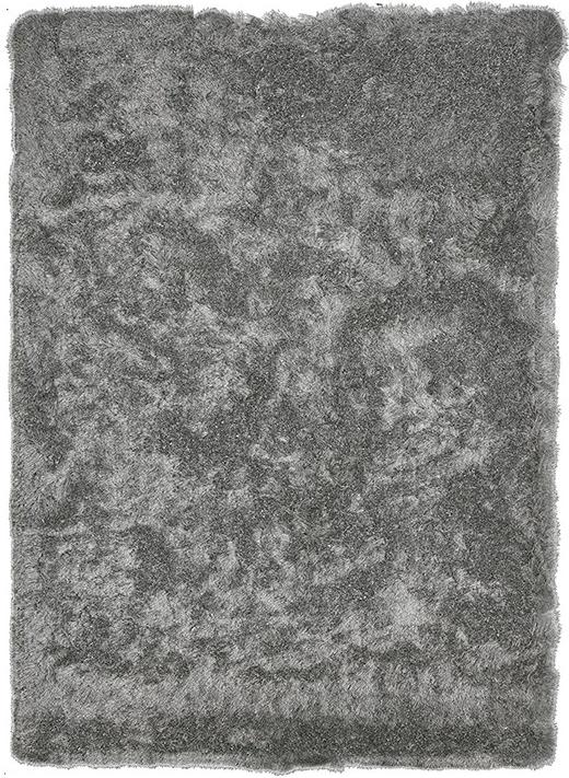 Dywan Aster Grey | Rozmiar: 160 x 240 cm