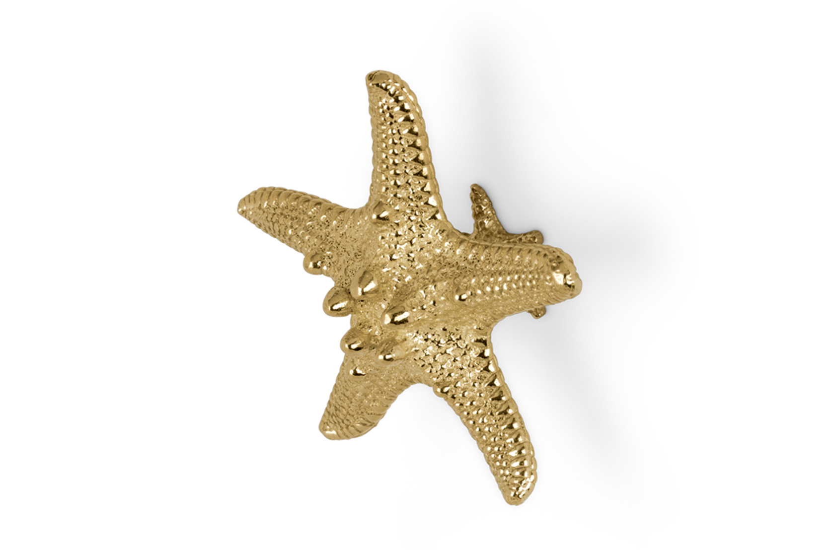 Uchwyt Dekoracyjny Starfish Linckia