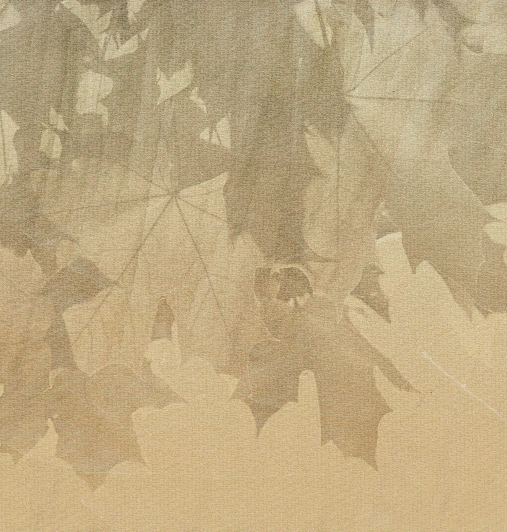 Tapeta Creative Leaves