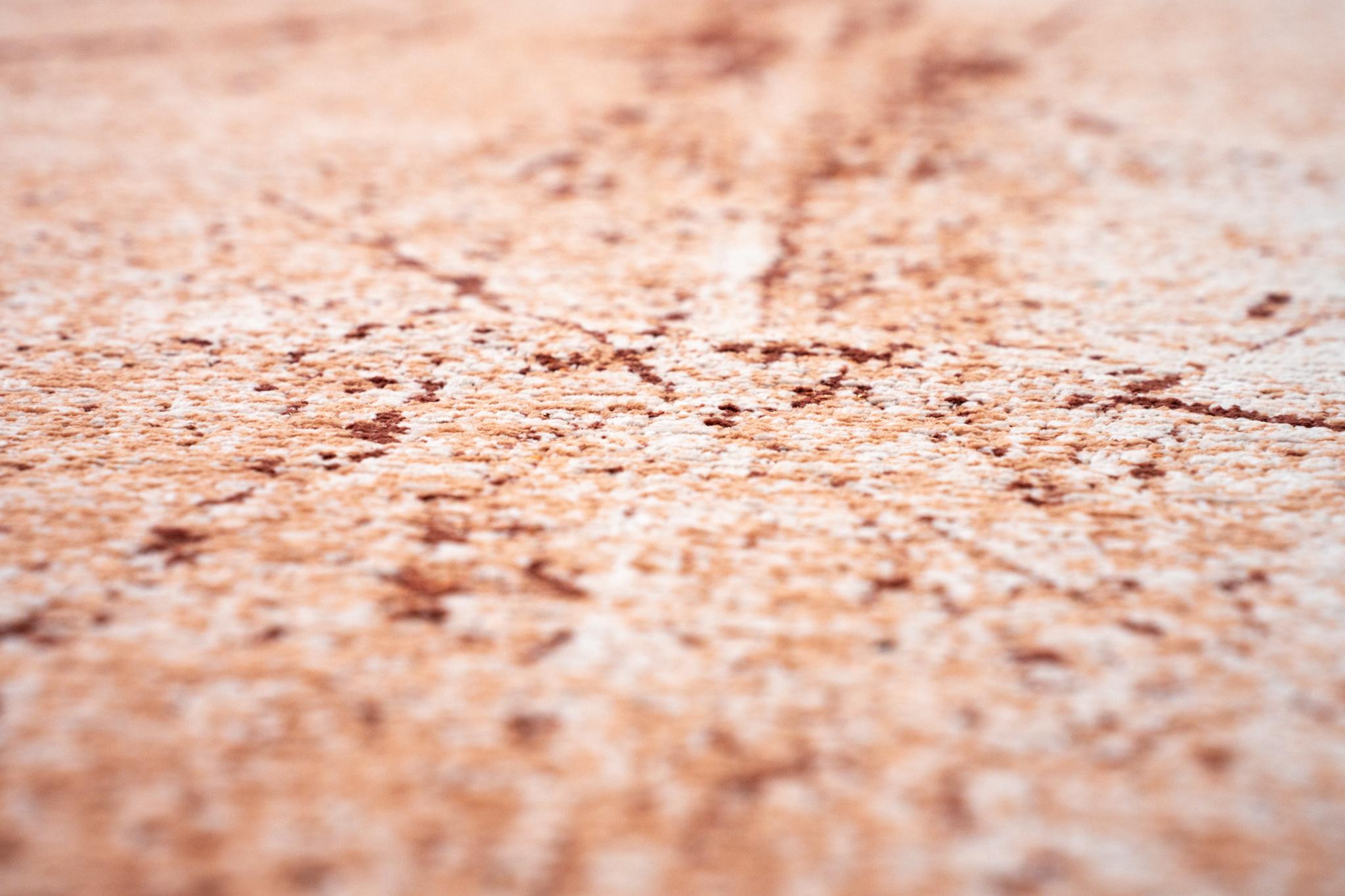 Dywan Tandoori 9774 | Rozmiar: 280 x 390 cm
