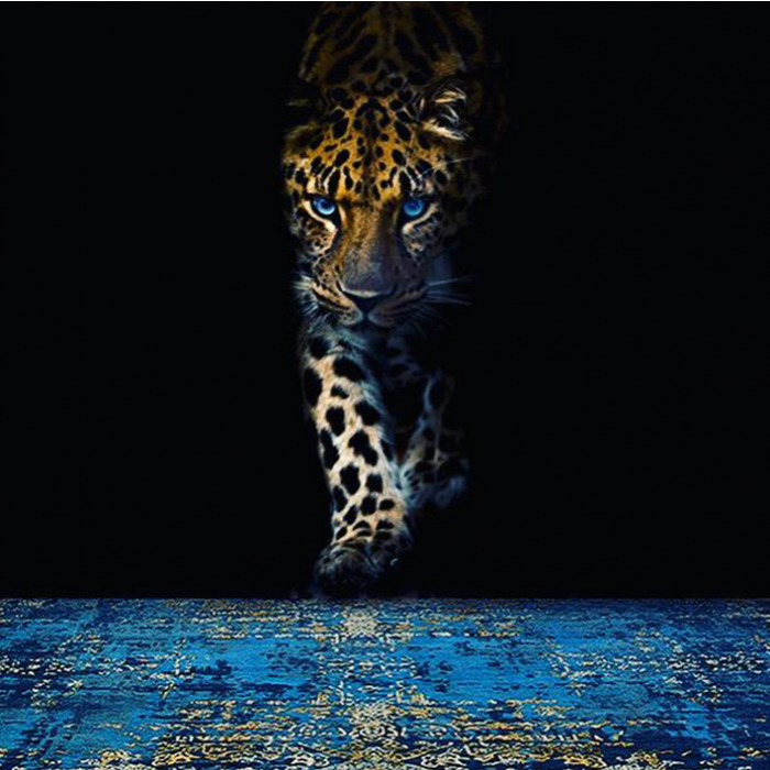 Dywan Abstract Blue Gold | Rozmiar: 170 x 240 cm