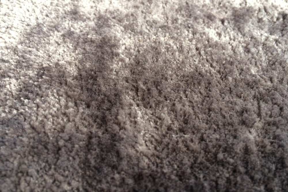 Dywan Hampton | Kolor: Beige | Rozmiar: 170 x 240 cm