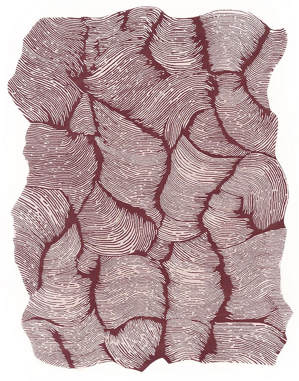 Dywan Designer Cinnamon | Rozmiar: 275 x 360 cm