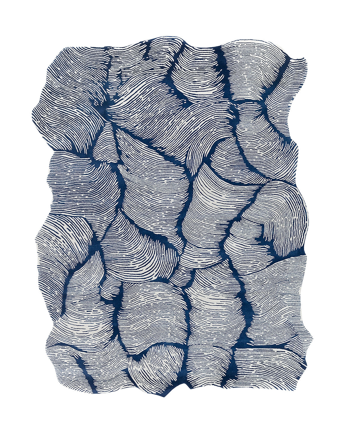 Dywan Designer Blue | Rozmiar: 275 x 360 cm