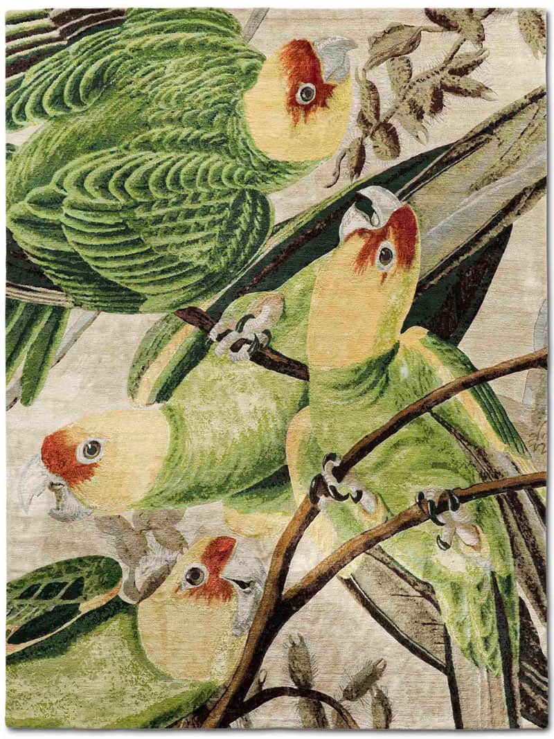 Dywan Four Parrots Original on Doma