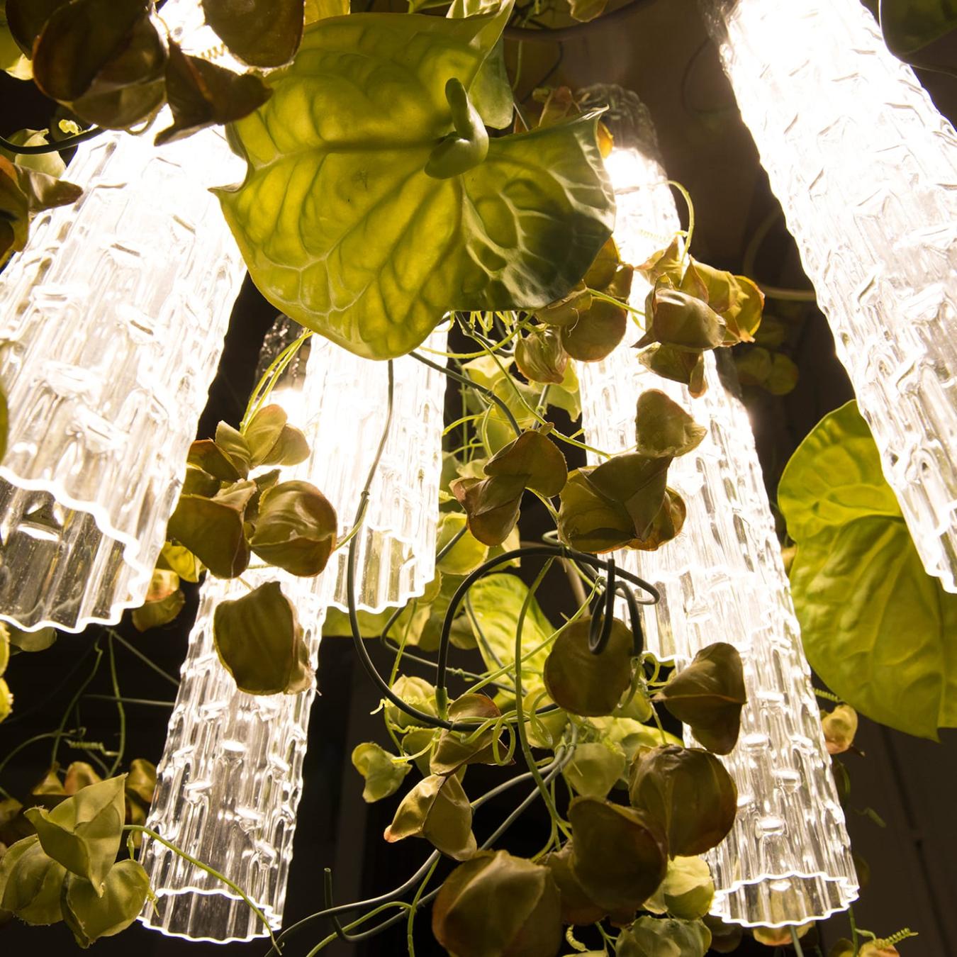 Żyrandol Physalis Anthurium