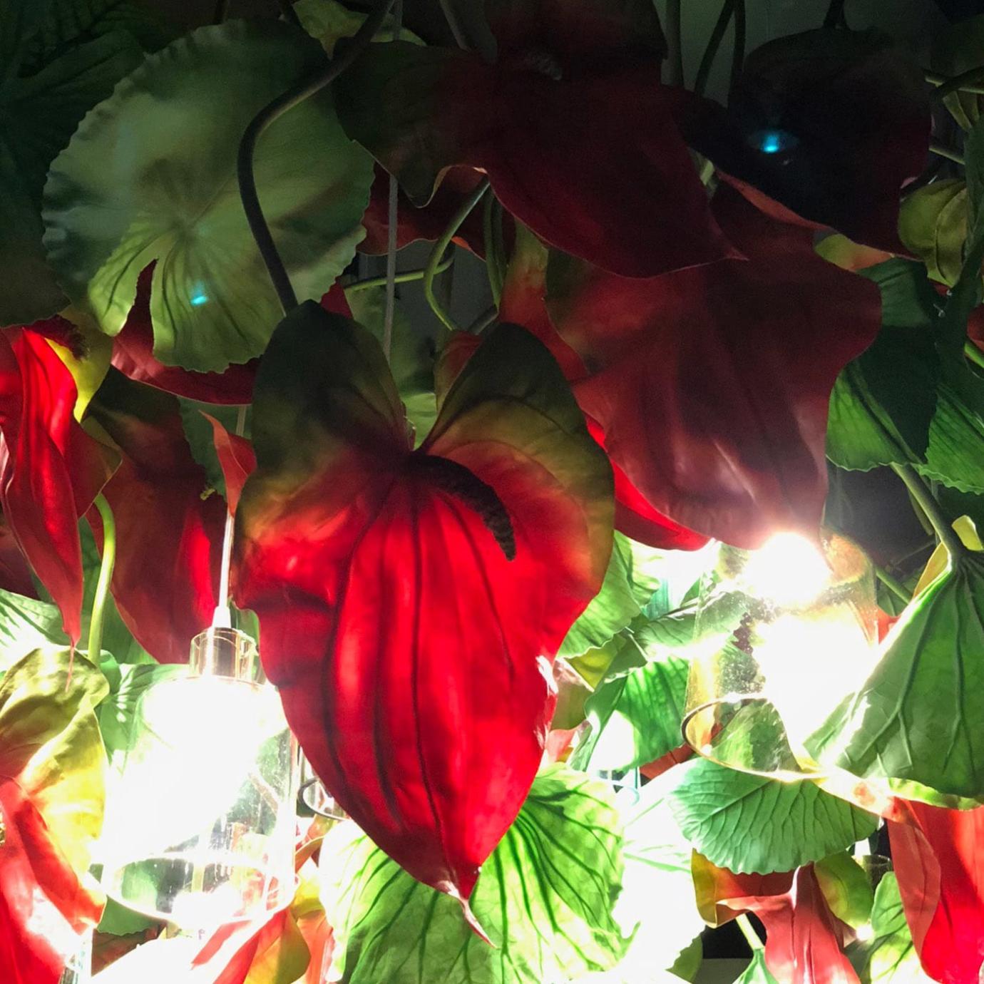 Żyrandol Anthurium