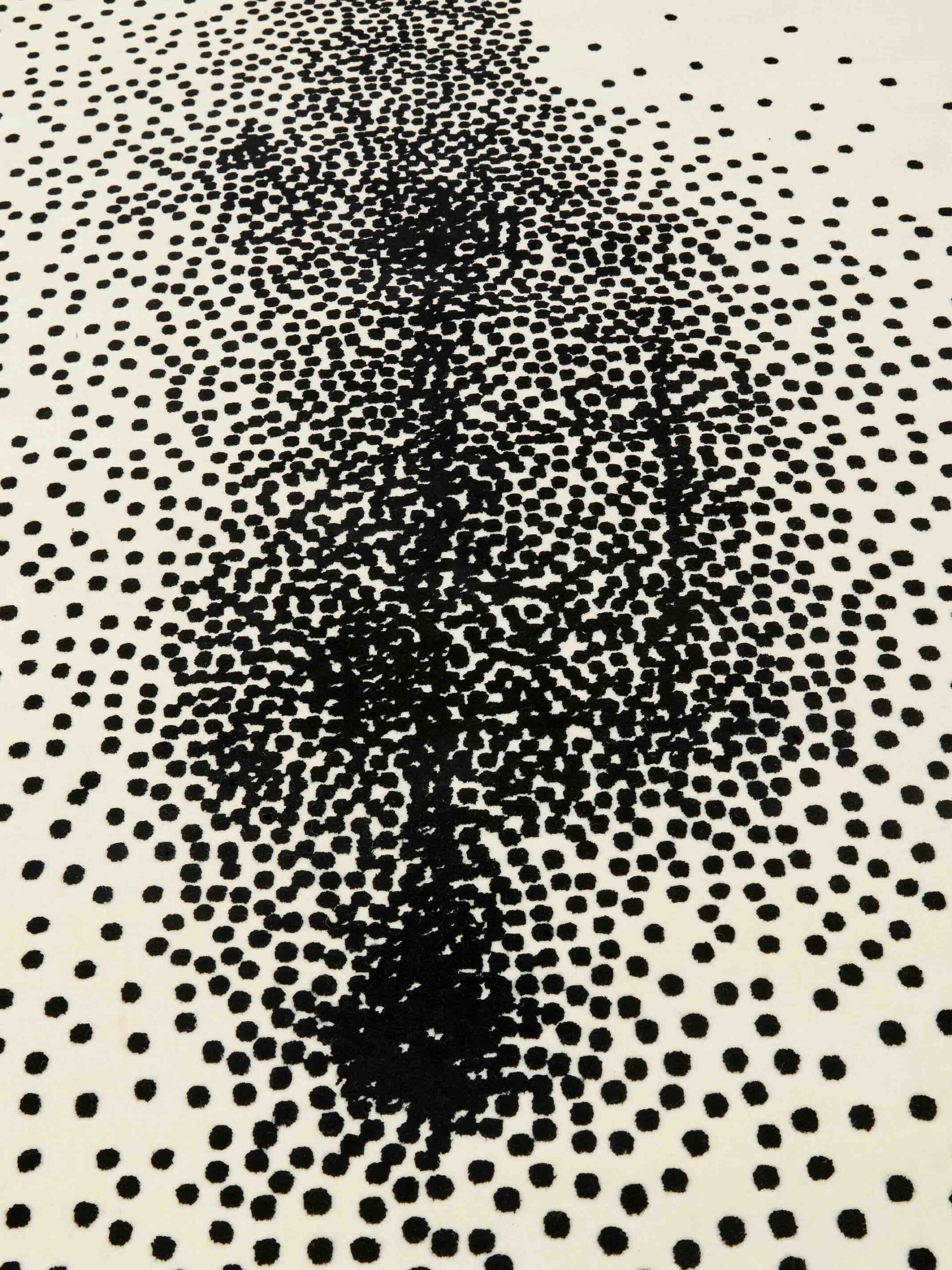 Dywan Particles