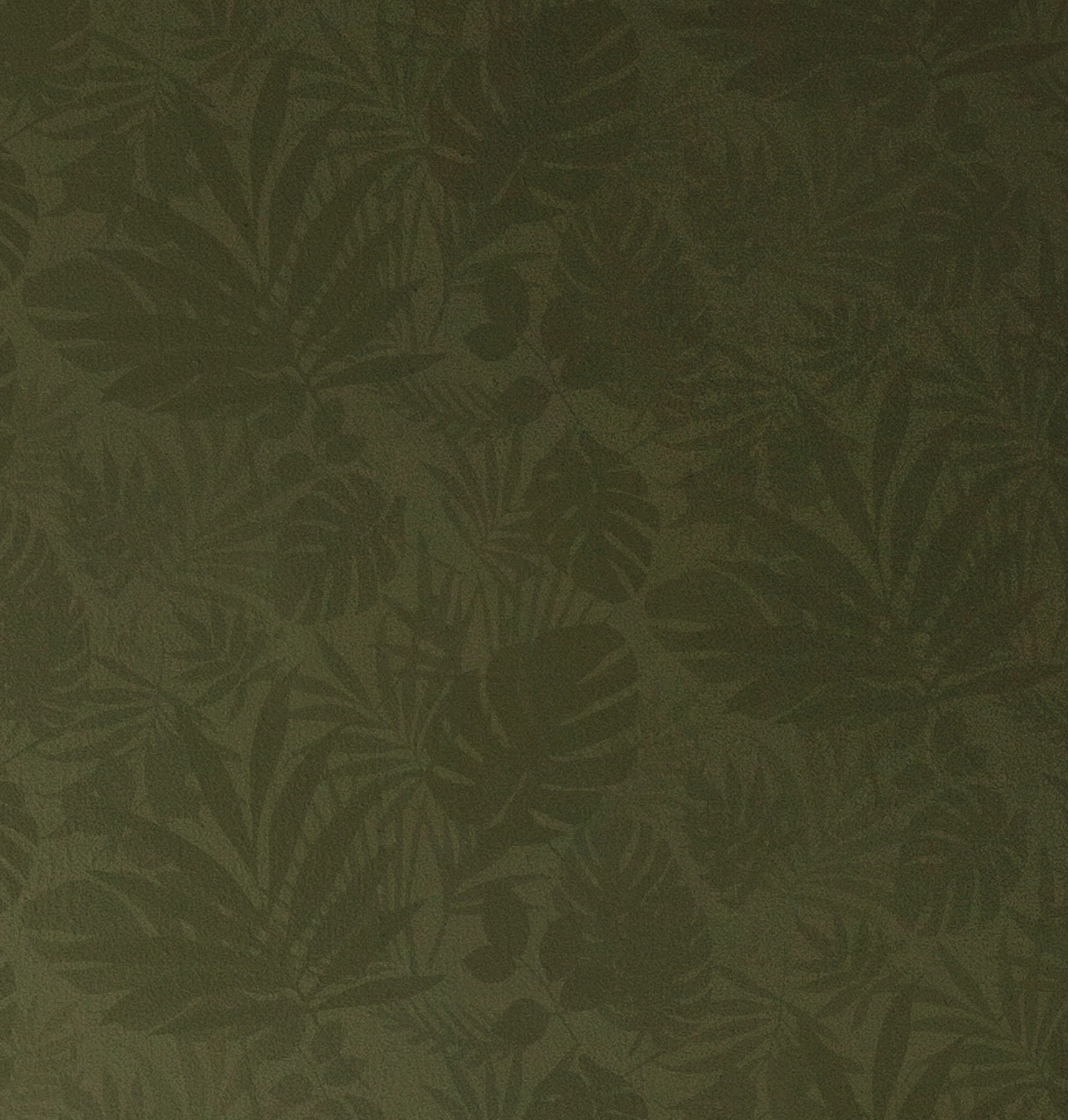 Tapeta Jungle