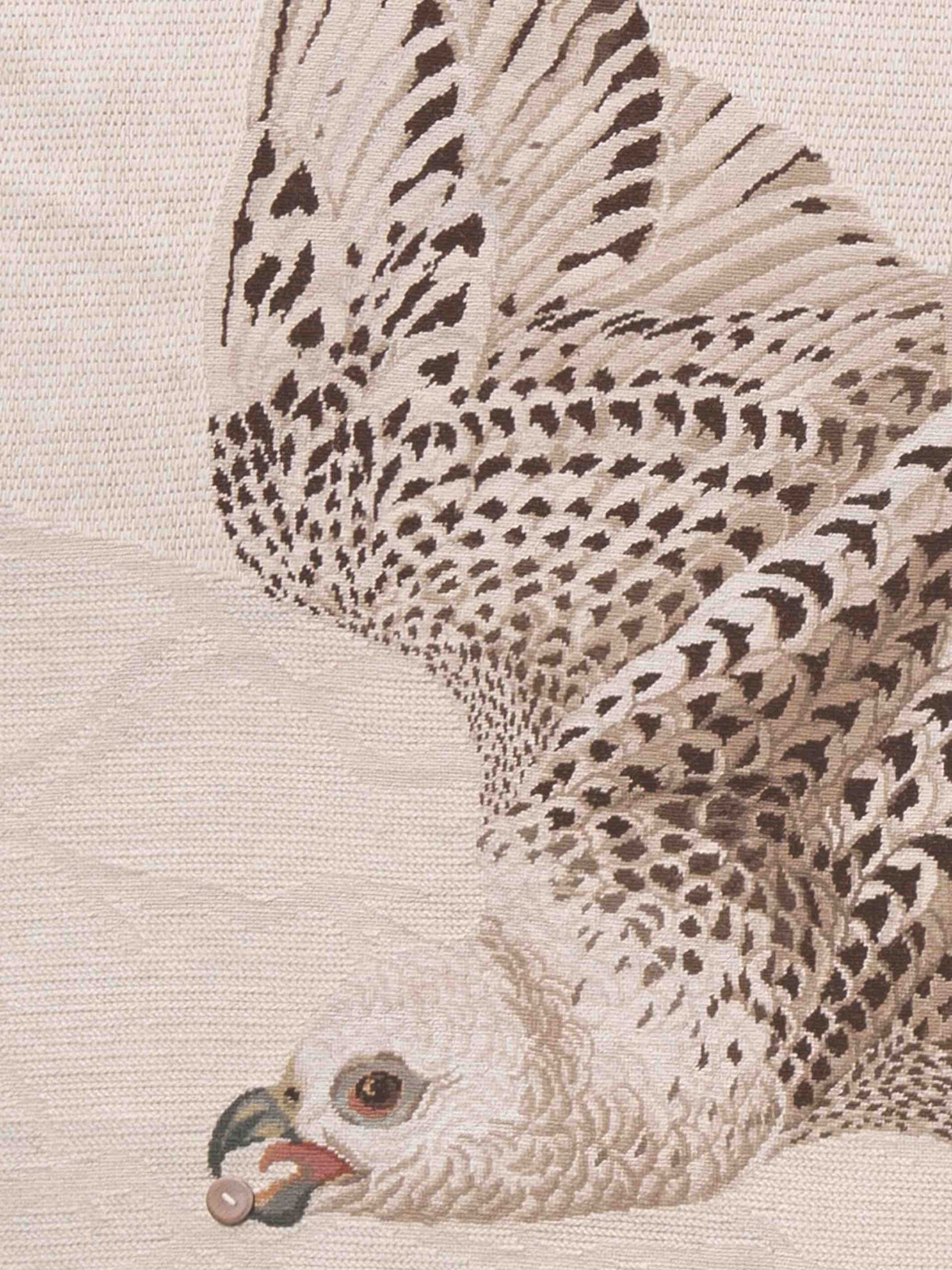 Dywan Migration Aquila