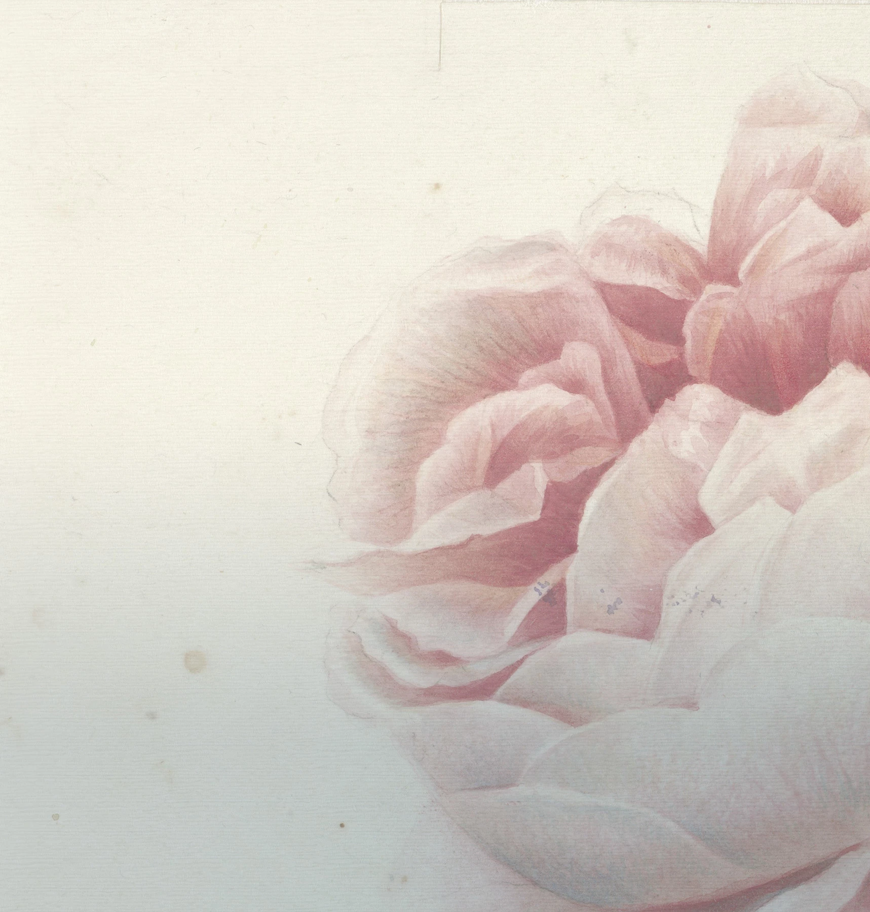 Tapeta Romantic Flowers