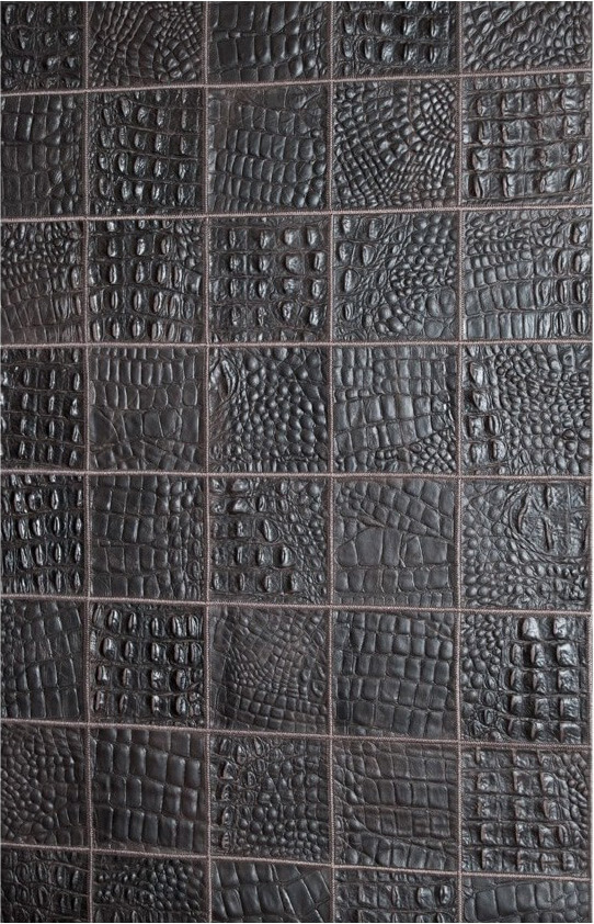 Dywan Demis | Rozmiar: 160 x 220 cm