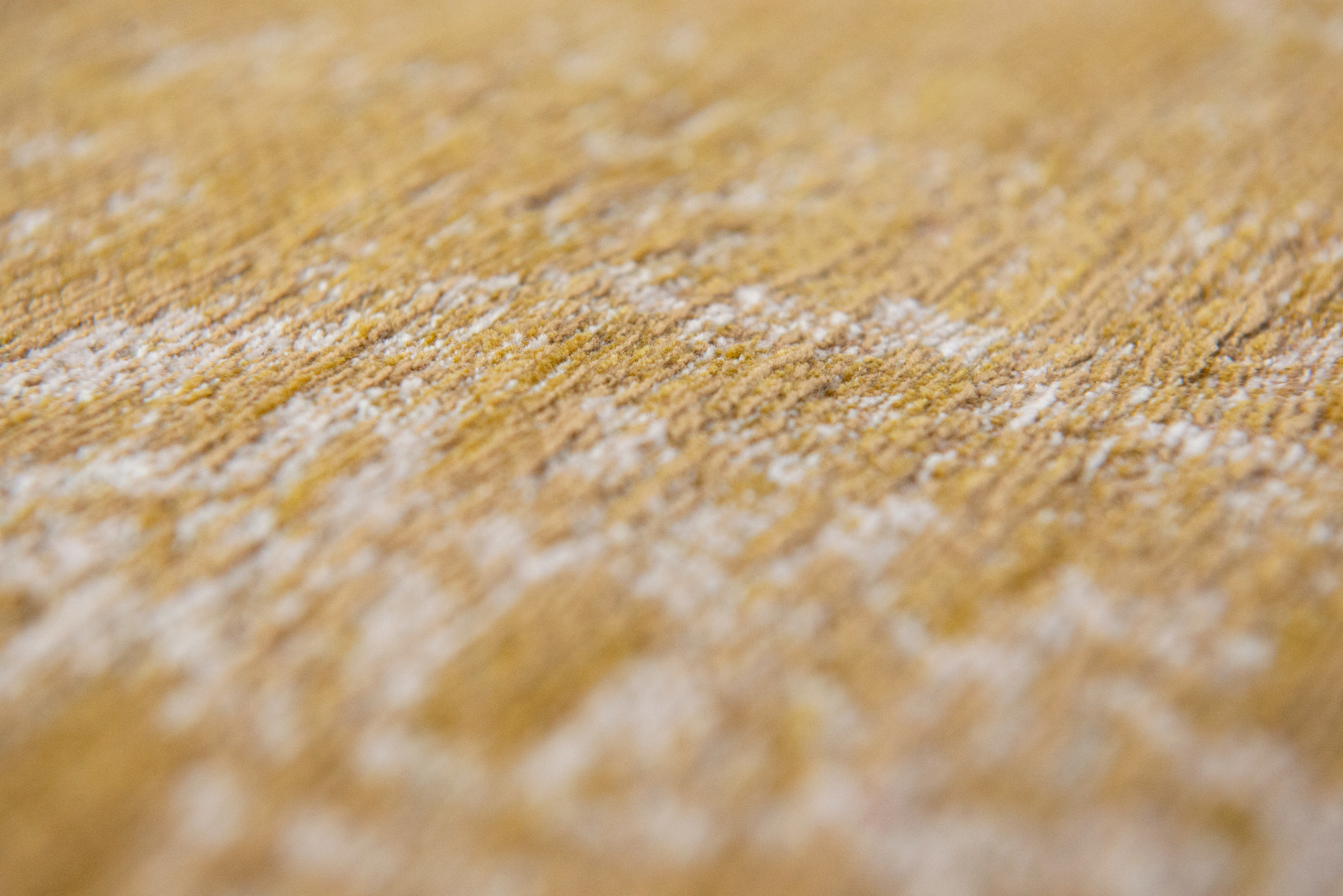 Dywan Spring Moss 9145 | Rozmiar: 170 x 240 cm