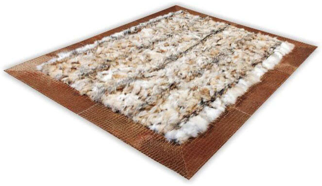 Dywan Coyote Croco 890 | Rozmiar: 300 x 400 cm
