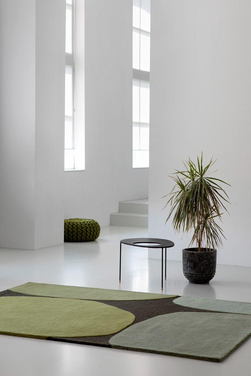 Dywan Decor Plateau Moss 91907 | Rozmiar: 160 x 230 cm