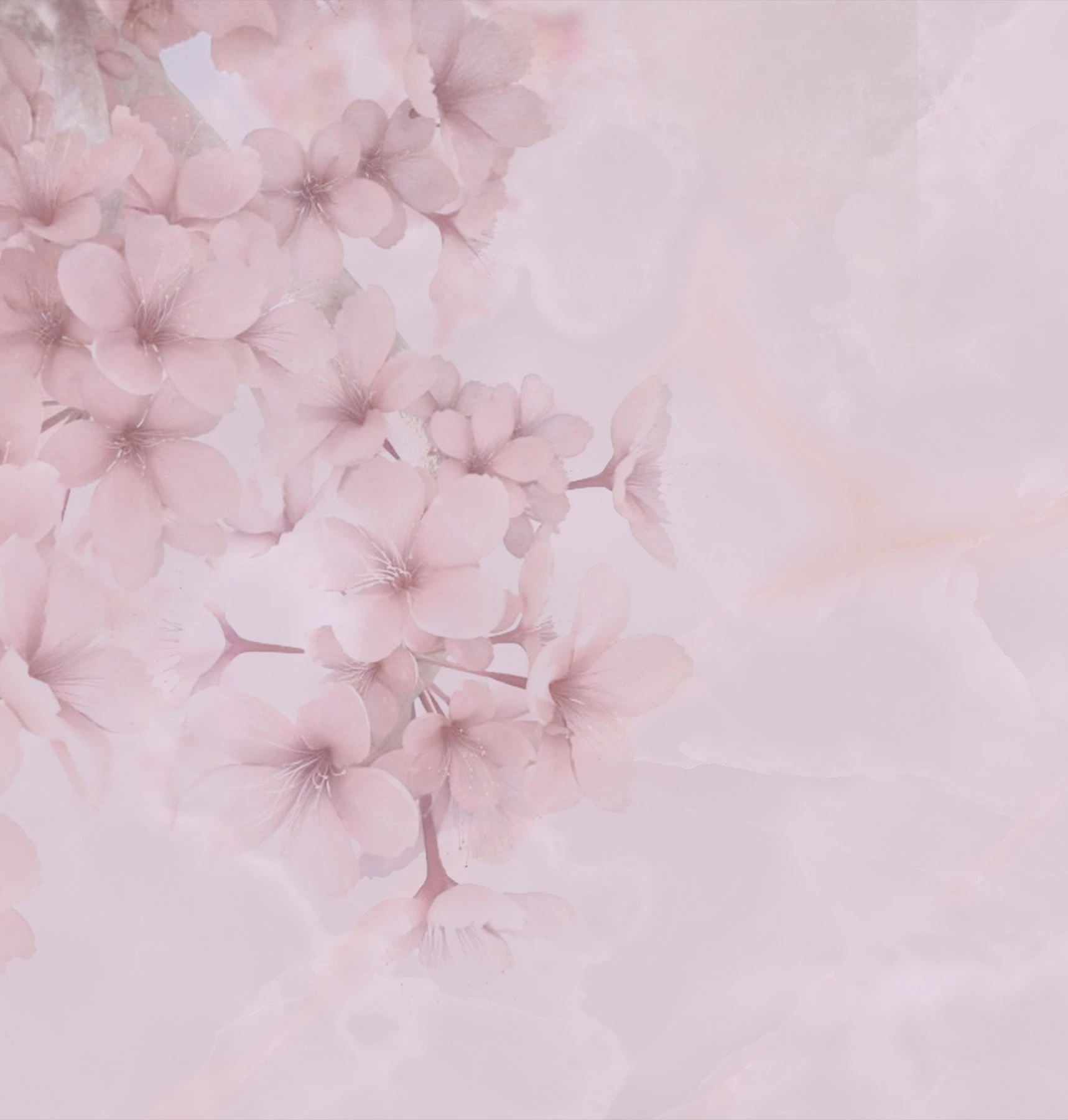 Tapeta Bloom