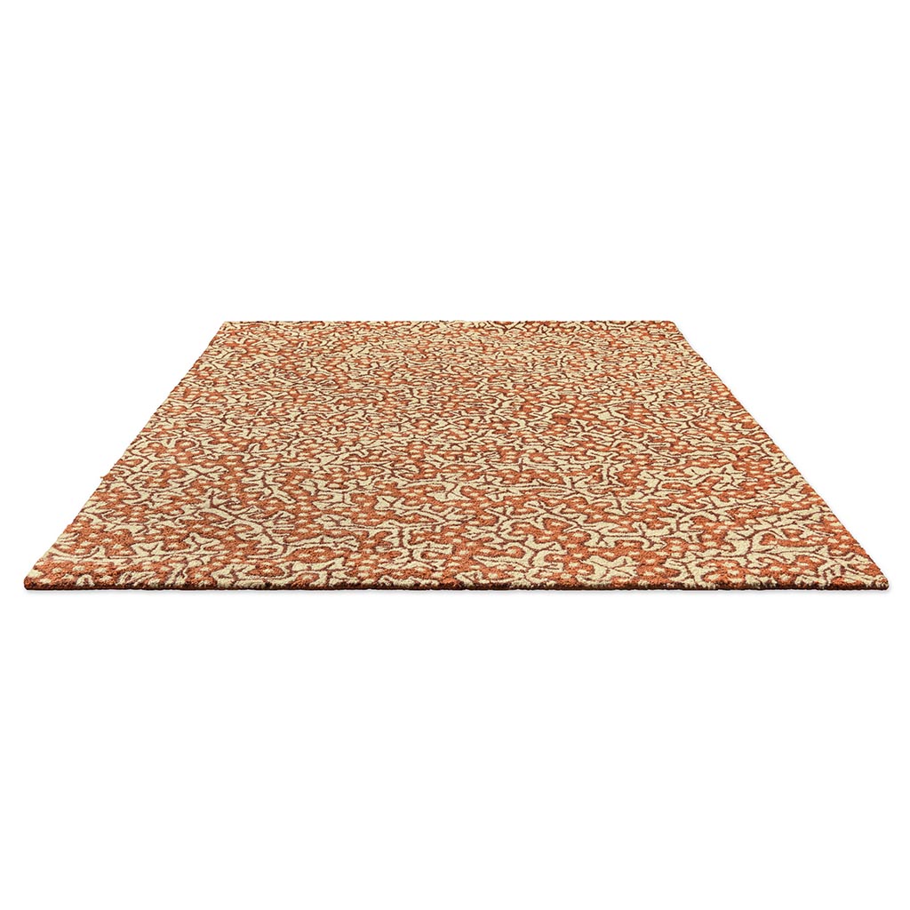 Dywan zewnętrzny Truffle Sandstone | Rozmiar: 250 x 350 cm