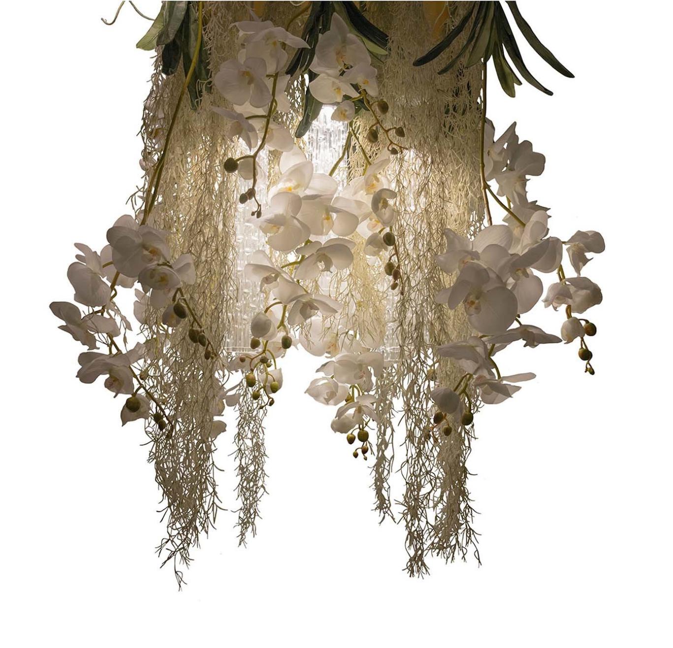 Żyrandol Phalaenopsis