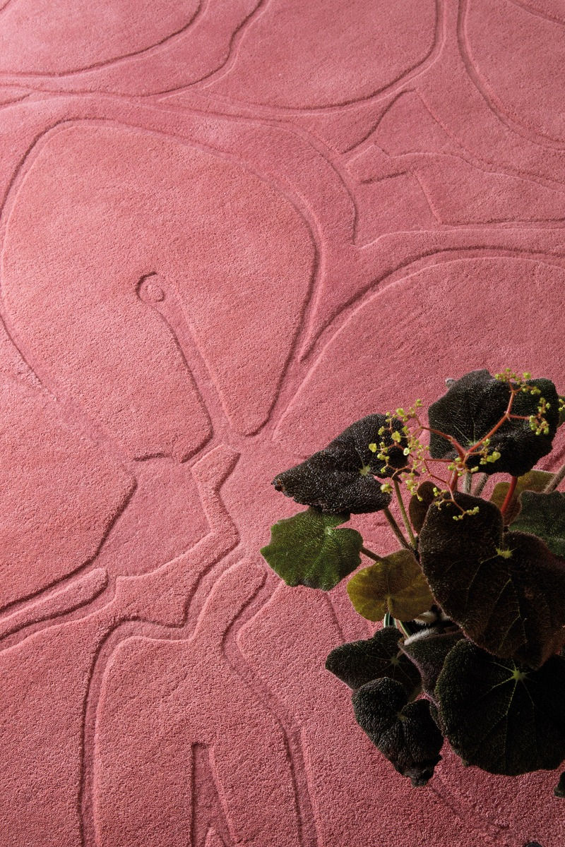 Dywan Romantic Magnolia Pink 162702 | Rozmiar: 140 x 200 cm