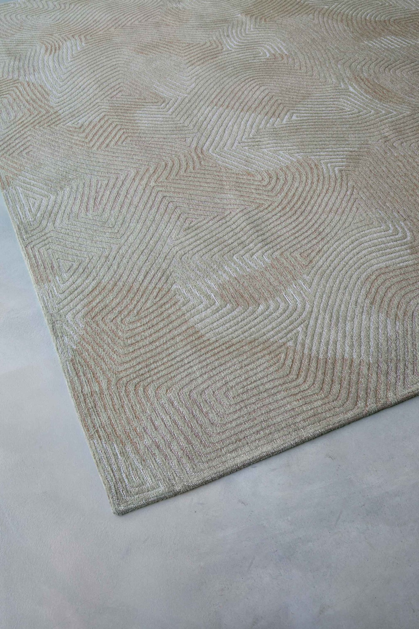 Dywan Shell Beige 9229 | Rozmiar: 170 x 240 cm