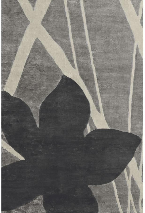 Dywan Fields | Rozmiar: 200 x 300 cm